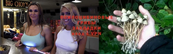 таблы Алексеевка
